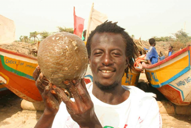 Gambia's mesmerising colours