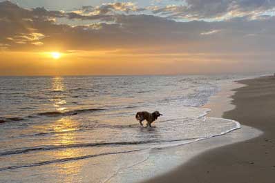 dip at sunset Marbellav600x400