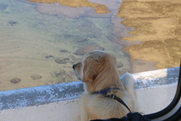 checkin out the view