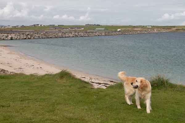 Brackenstraveltails deep in reflection in The Orkneys