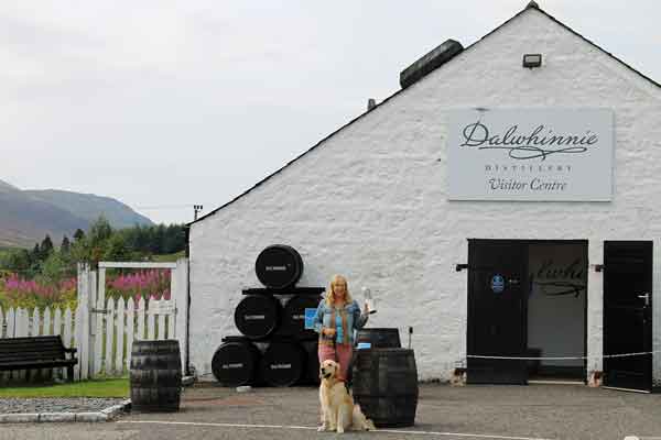 Dulwhinney web