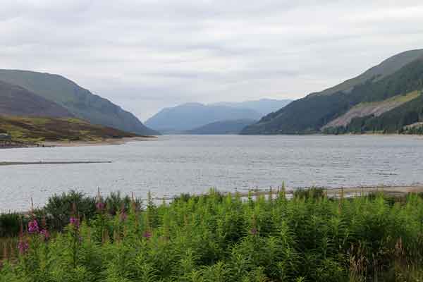 Loch Ericht web