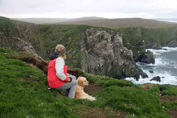 Brackenstraveltails rests during an Extraordinary day in Unst