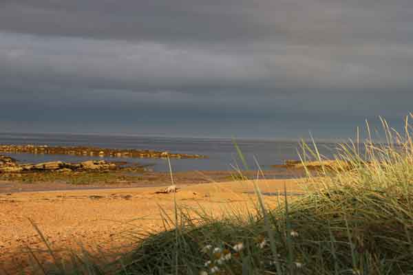 Captivating coast: Kingsbarns beach Scotland