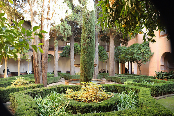 Lush gardens and greenery f