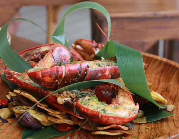 Luscious lobster on Ibiza