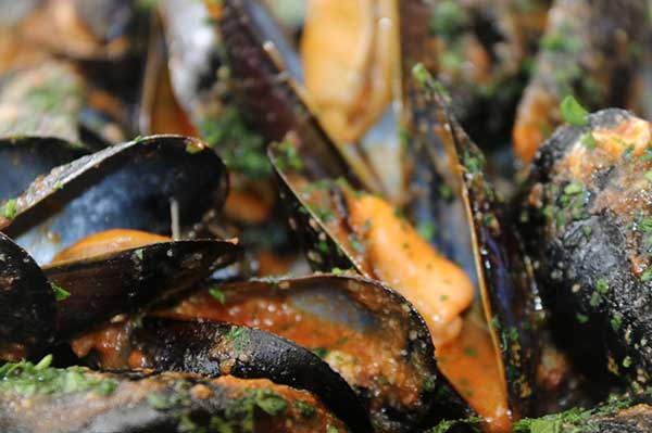 Caption 3 mussels LRweb600x400