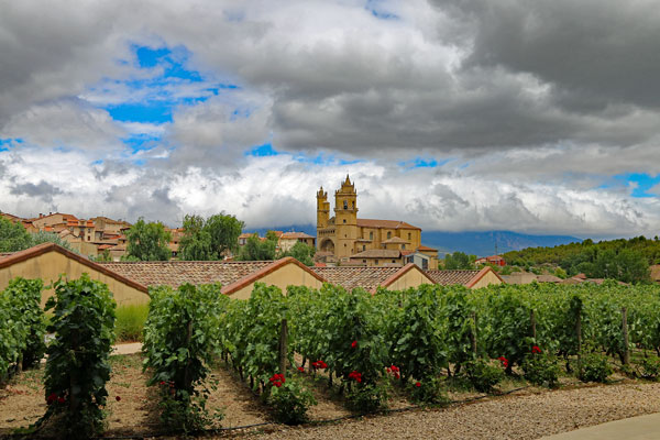 w Vineyard views over Elciego 3985